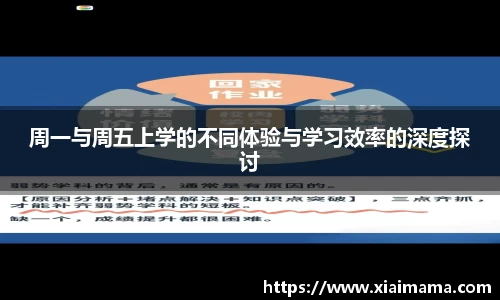 周一与周五上学的不同体验与学习效率的深度探讨