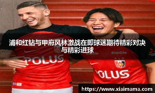 zoty中欧